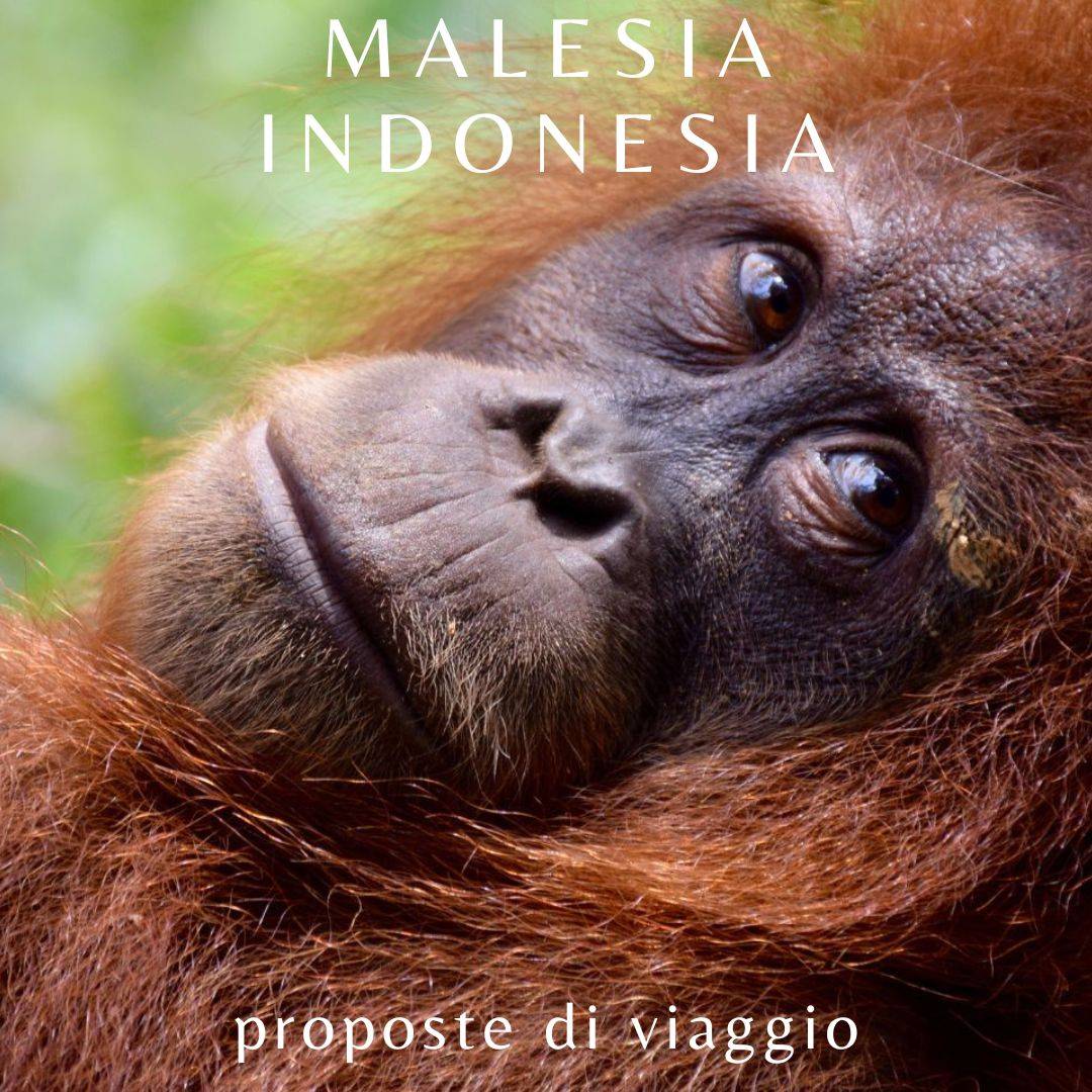 Malesia-Indonesia-proposta-3 Offerte