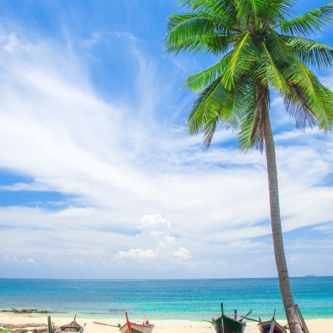 Thailandia Bangkok Koh Tao Koh Samui - 09 Agosto  2026