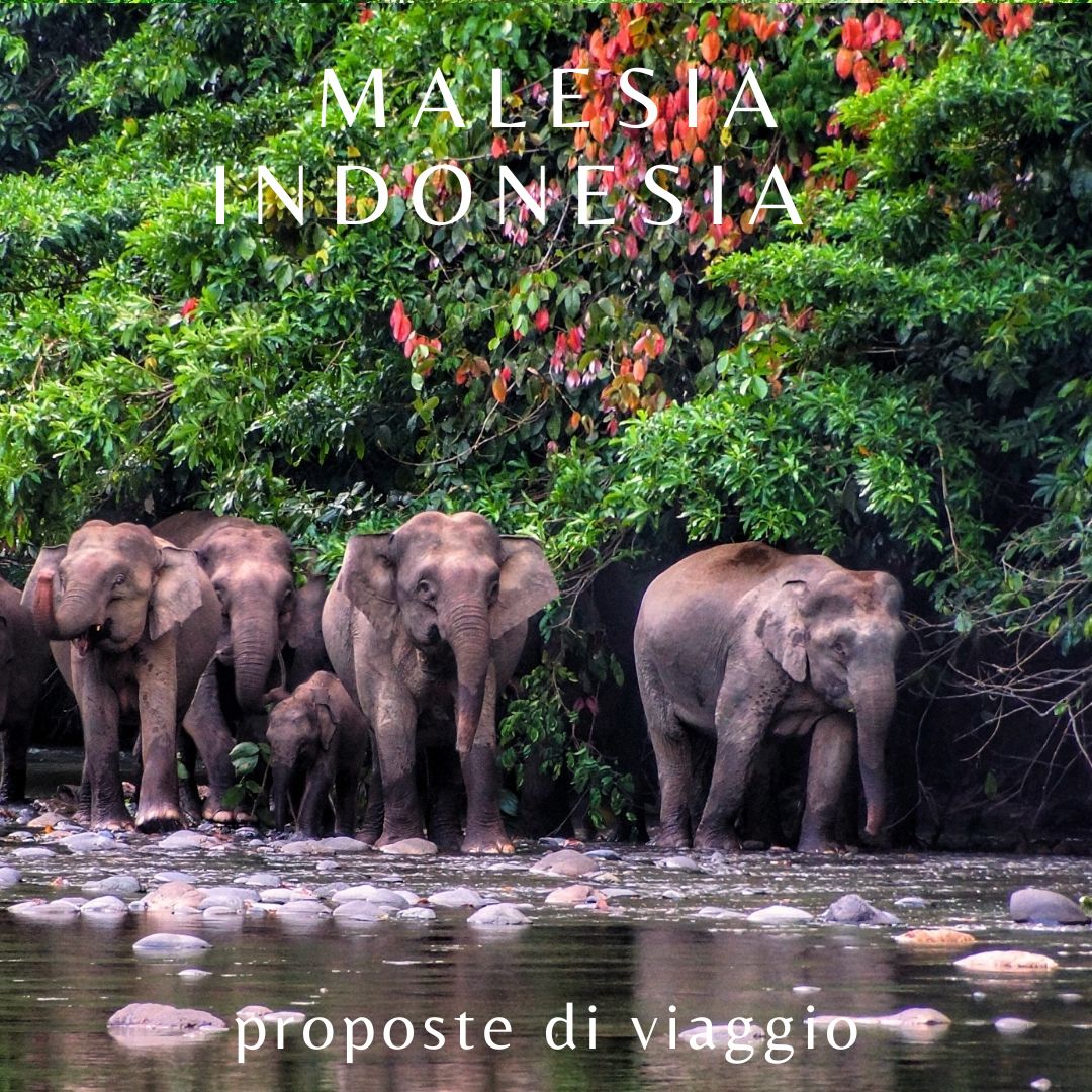Malesia-indonesia-proposta-7 Offerte