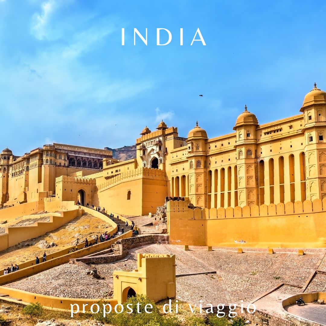 India-proposta-7 Offerte