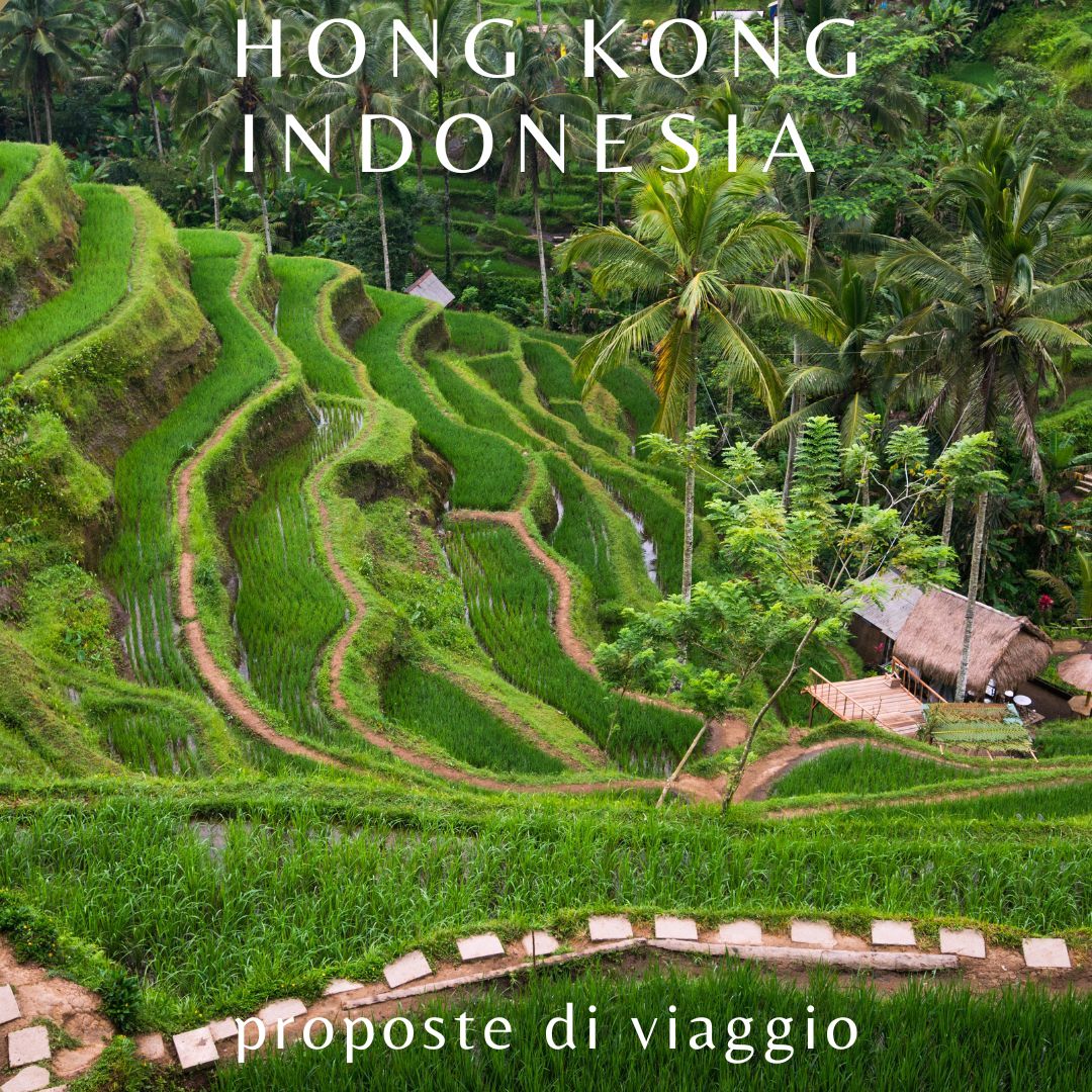 Indonesia-Hong-Kong-proposta-1 Offerte