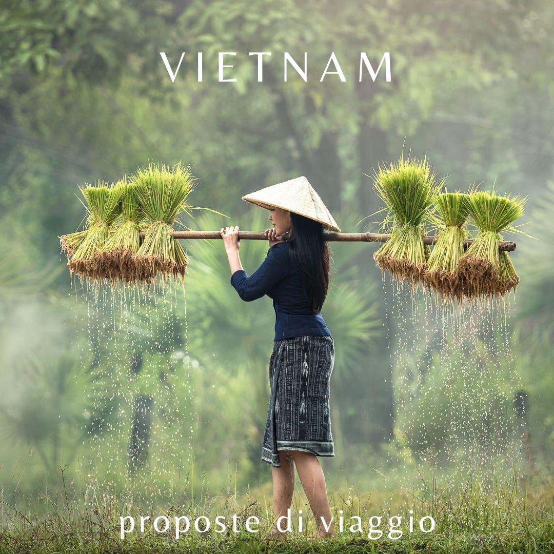 Vietnam-proposta-3 Offerte