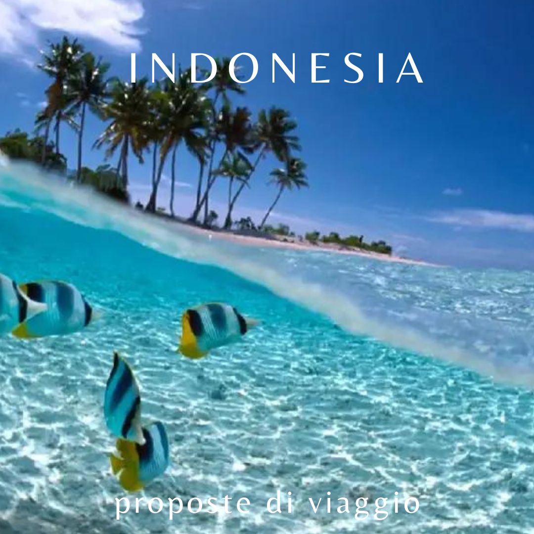 Indonesia-proposta-6 Offerte